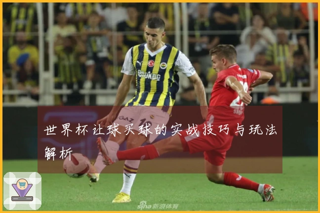 世界杯让球买球的实战技巧与玩法解析