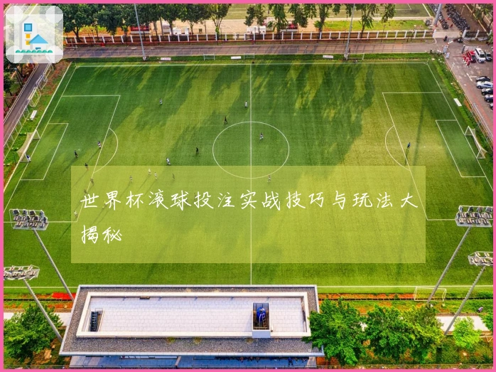 世界杯滚球投注实战技巧与玩法大揭秘