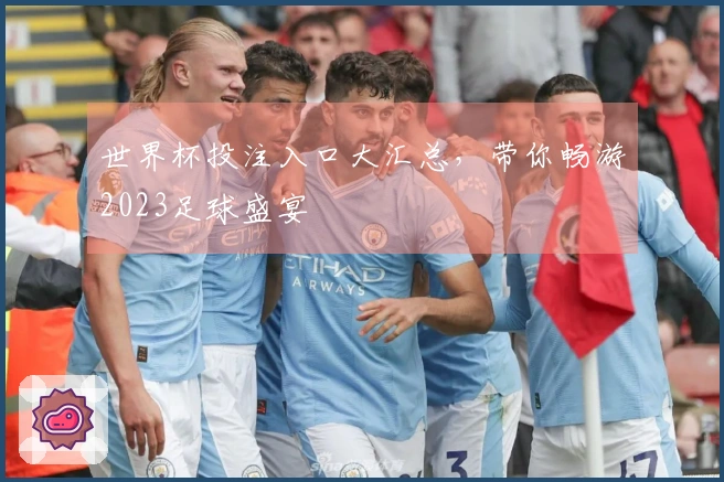 世界杯投注入口大汇总，带你畅游2023足球盛宴