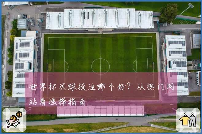 世界杯买球投注哪个好？从热门网站看选择指南