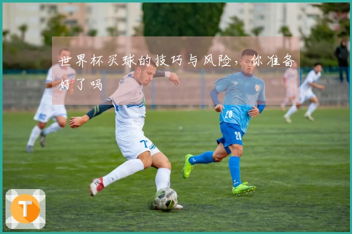 世界杯买球的技巧与风险，你准备好了吗